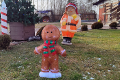 bt_IMG20260105125627-03_protest