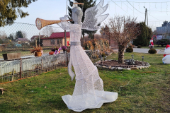 bt_IMG20260105125639-04_protest