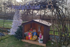 bt_IMG20260105125701-05_protest