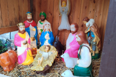 bt_IMG20260105125708-06_protest