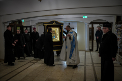 55029254681_2635fe3a1d_o