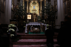 bt_FILE0086-03_tuchow