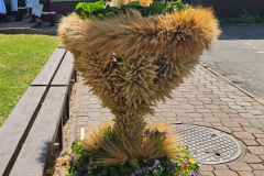 WhatsApp-Image-2025-08-15-at-13.54.07-2