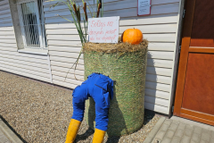 WhatsApp-Image-2025-08-15-at-13.54.08-2