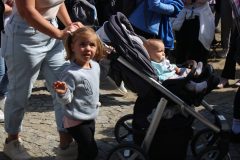 IMG_3939-scaled