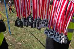 WhatsApp-Image-2026-03-13-at-14.47.26-5