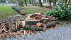 63da490a-f01c-4ae6-baf8-22e945c14061