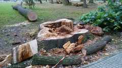 b42ae340-c1ba-469e-a689-76ddce487cc2