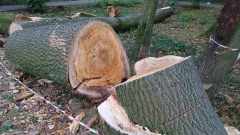 cbf6891c-7455-4ae8-8785-b5f6d34889c9