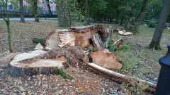 cccb6962-c2e2-4311-bfd4-2be23f2d934e