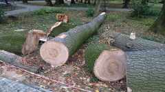 fce7c669-5df3-49d5-807a-87f692f5b19e