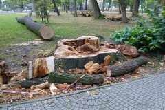 63da490a-f01c-4ae6-baf8-22e945c14061