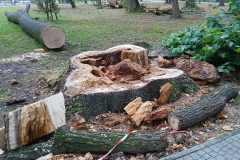 b42ae340-c1ba-469e-a689-76ddce487cc2