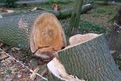 cbf6891c-7455-4ae8-8785-b5f6d34889c9