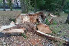 cccb6962-c2e2-4311-bfd4-2be23f2d934e