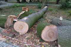 fce7c669-5df3-49d5-807a-87f692f5b19e