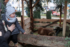 aa_IMG_5845_bb