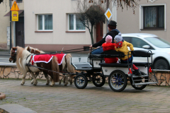 aa_IMG_5868_bb