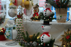 aa_IMG_5772_bb